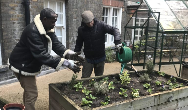 Customers watering vegetable bed